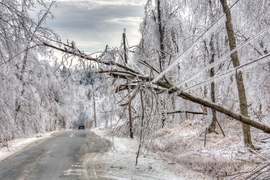 Don't Get Caught in the Storm: Prepare with eSandbags